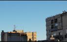 Cigüeñas sobre los edificios de Barañáin