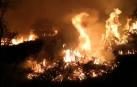 Un incendio quema cinco hectáreas de matorral en Narbarte