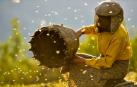 'Honeyland' y 'Me llamo Violeta', en el palmarés de DocsBarcelona