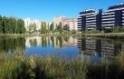 Un géiser que no emana en el parque del Orfeón