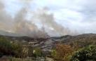 Efectivos de bomberos de Estella, Tafalla, Peralta, Cordovilla y Sangüesa, además de medios aéreos, están trabajando en un aparatoso incendio que se ha registrado la tarde de este jueves en un pinar de Javerri,