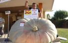 Rubén Mendi vuelve a ganar el Concurso de Calabazas Gigantes de Valtierra