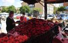 Como todos los años, la campa de la Fundación Mena de Puente la Reina desprende un olor inconfundible. Es temporada de pimiento y el tradicional mercado se ha adaptado a la pandemia