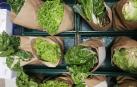 Cestas alimentos