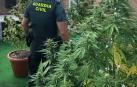 Intervenidas cinco plantas de marihuana en un domicilio en Zizur Mayor