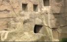 Herida grave una cuidadora del zoo de Madrid tras ser atacada por un gorila
