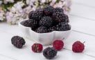 Imagen de un cuenco con moras