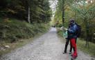 Galería de fotos de la selva de Irati y de turistas que se han acercado a ella en el puente de El Pilar.
