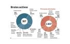 307 brotes en Navarra que afectan a 2.637 personas