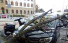 Ramas caídas y otras daños por las fuertes rachas de viento en Navarra