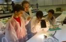 Más de doscientos niños participan en los campamentos del Museo de Ciencias