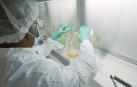 Así funciona el bamlanivimab, el primer medicamento específico contra la Covid-19