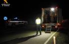 Denunciados 14 navarros por cazar en Aragón incumpliendo las restricciones