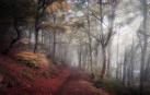Estas son las cinco fotografías que han recibido premio en la edición 2020 del Concurso fotográfico Conocer Navarra 2020.