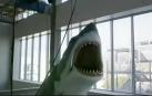 'Bruce', el tiburón de Spielberg, se expone en Los Ángeles