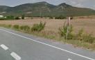 Una persona herida en dos accidentes con jabalíes en Valtierra y Unzué