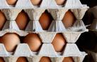 El consumo de cuatro huevos a la semana es saludable para el corazón