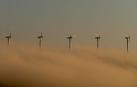Molinos entre la niebla en El Perdón. Los proyectados al norte son de mayores dimensiones.