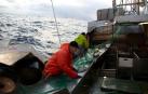 El origen de la circulación marina y nuestro gusto por el bacalao