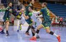 Helvetia Anaitasuna ha ganado 30-25 a Viveros Herol Nava, su cuarta victoria consecutiva que le coloca en sexta posición de la Liga Sacyr Asobal.