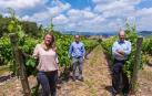 Vino pago larrainzar