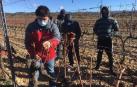 San Martín de Unx pone freno a la falta de relevo entre los viticultores