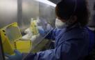 Fotos que muestran cómo se trabaja en el laboratorio del pabellón L del Complejo Hospitalario de Navarra donde se analizan las PCR