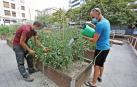 La huerta, un espacio que une al barrio