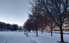 La nieve ha teñido de blanco las calles de Pamplona y de la Comarca este domingo 3 de febrero