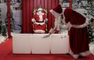 Tradiciones y curiosidades de la Navidad