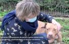 Adopciones responsables en el Centro de Atención a Animales