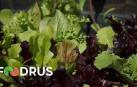 AIN, Eder y Florette participan en proyecto contra el desperdicio alimentario Foodrus