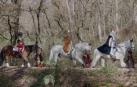 Melchor, Gaspar y Baltasar han sido vistos en unas montañas cercanas a la frontera con Navarra.