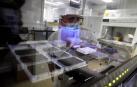 Fotos que muestran cómo se trabaja en el laboratorio del pabellón L del Complejo Hospitalario de Navarra donde se analizan las PCR