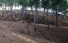 Piden más control para motos de campo a través