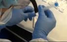 Un nuevo fármaco de la multinacional Grifols podría ofrecer inmunidad inmediata al coronavirus