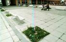 Pamplona tiene 539 alcorques sin árbol, un 2% del total de la ciudad
