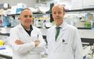 Logran revertir la pérdida ósea asociada al mieloma múltiple