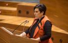 El Parlamento rechaza que se haga una campaña para que los inmigrantes se matriculen en euskera