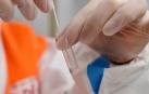Consulta aquí las zonas y localidades más afectadas por el coronavirus en Navarra este domingo
