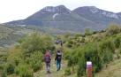 Caminantes por la calzada romana del Pirineo a su paso por Saragüeta, valle de Arce.