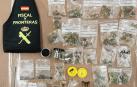 Investigados dos propietarios de una tienda con productos para el cultivo de marihuana