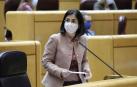 Darias dice que las transferencias de Tráfico y las del ingreso mínimo vital están "bastante avanzadas"
