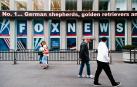 Fox News cancela su programa más visto tras una demanda multimillonaria