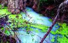 Gurelur denuncia el vertido de aguas residuales al río Alhama