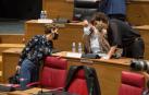 Un debate sobre el Convenio divide a los socios del Gobierno y a los miembros de NA+