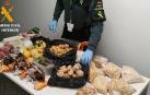 Intervenidos 53 kilos de alimentos prohibidos en el Aeropuerto de Noáin
