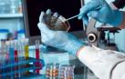 Pamplona será escaparate mundial del talento biotecnológico español