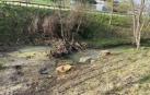 Gurelur acusa al Ayuntamiento del Valle de Egüés de destrozar la regata de Sarriguren