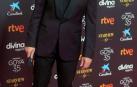 Actores, presentadores y cantantes desfilan por la alfombra roja de los premios Goya 2021.
